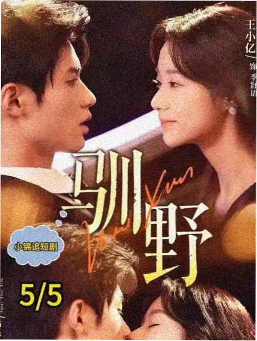 午夜食堂纪事动画封面